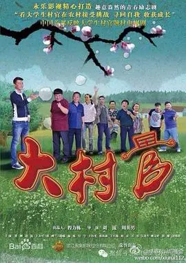 《大村官》：乡村振兴的希望之光，基层干部的奋斗史诗