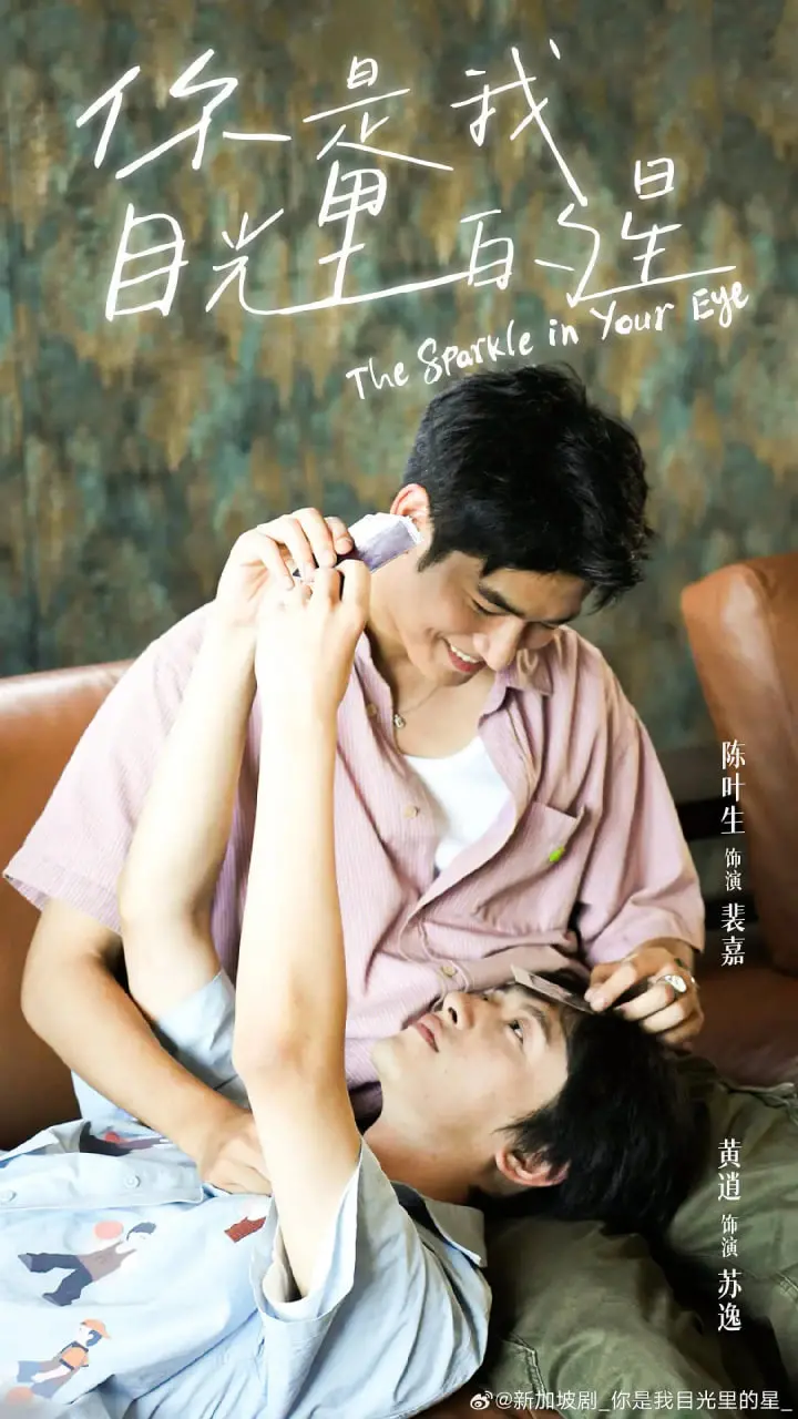 《你是我目光里的星》：一场跨越星河的爱恋，在平凡生活中闪耀的奇迹！